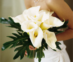 The FTD Calla Lilies Bouquet