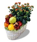 The FTD Fruits and Flowers